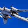 Tu-95 Bear Bomber