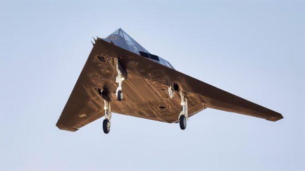 F-117 Nighthawk Stealth Fighter