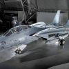 F-14 Tomcat Fighter