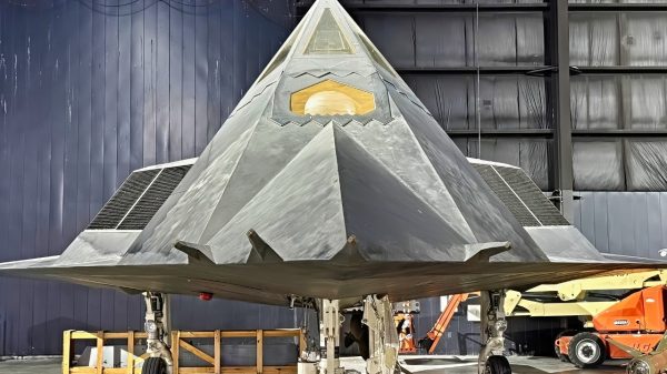 Right In Your Face F-117 Nighthawk
