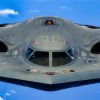 B-2A Spirit Stealth Bomber USAF Image