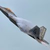 An F-22 Raptor creates vapor trails during a high-speed maneuver during a training flight at Joint Base Langley-Eustis, Virginia, June 13, 2025. The aircraft’s design allows it to remain highly maneuverable while maintaining low observability. (U.S. Air Force photo by Senior Airman Adisen Smith)