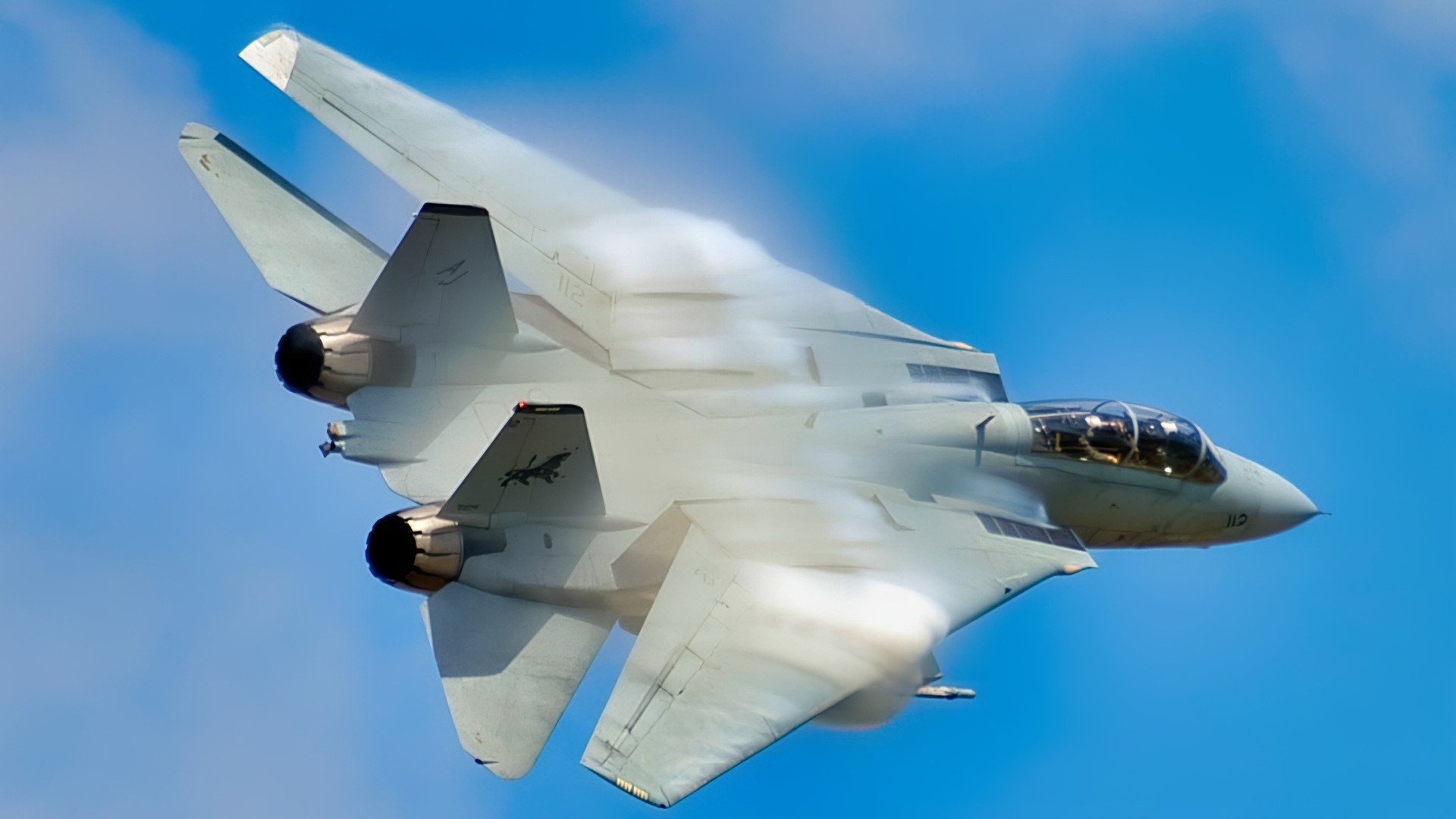 F-14 Tomcat Fighter U.S. Navy