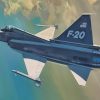 F-20 Tigershark Artwork