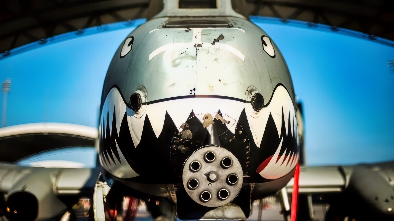 An A-10C Thunderbolt II sits under a sun shade July 29, 2014, at Moody Air Force Base, Ga. The A-10’s primary weapon is a single 30mm GAU-8/A seven-barrel Gatling gun. It can also carry up to 16,000 pounds of mixed ordnance such as cluster bomb units, joint direct attack munitions and AIM-9 Sidewinder missiles. (U.S. Air Force photo/Airman 1st Class Ryan Callaghan)